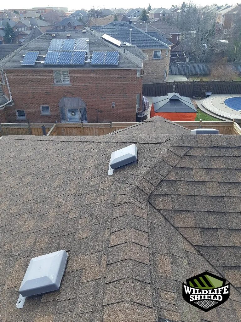 bolton roof overview inspection 09 bolton roof overview inspection 09