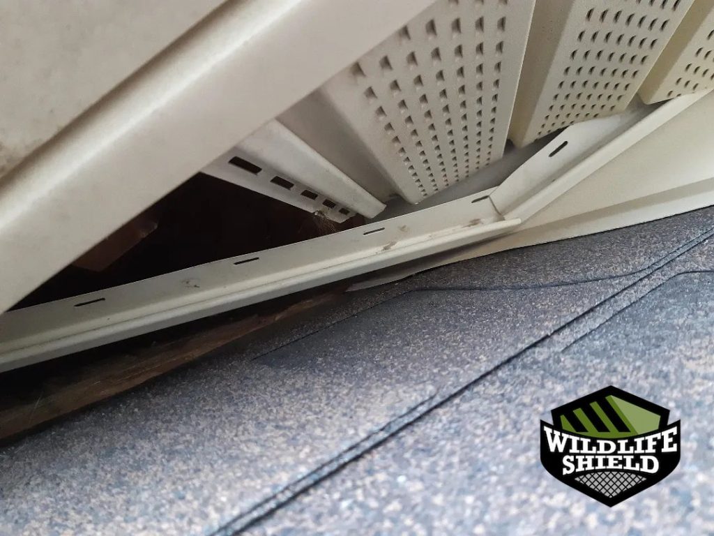 bolton soffit gap opening inspection 01