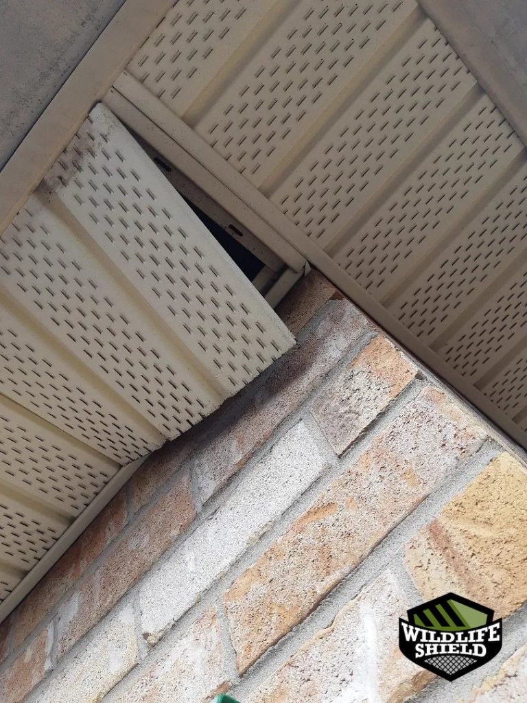bolton soffit gap opening inspection 06 bolton soffit gap opening inspection 06