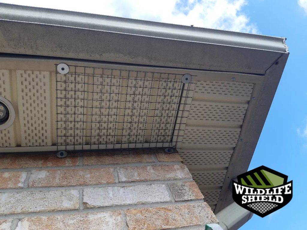 bolton soffit screening after 08 bolton soffit screening after 08